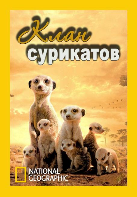 National Geographic. Клан сурикатов